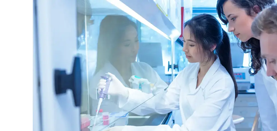 Three young scientists are working with chemicals inside a chemical fume hood